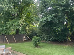 Yvonne R.'s Lawn Mowing Service service result