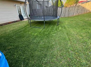 Michael F.'s Lawn Care service result