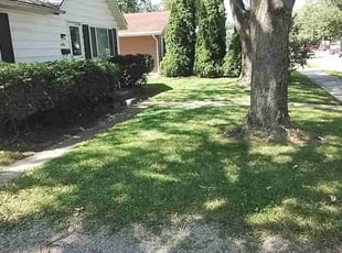 Marian C.'s Lawn Mowing service result