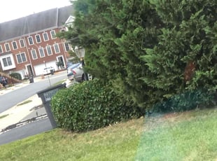 Bush Trimming by Jairo Salamanca for Dina T. in Ashburn, VA