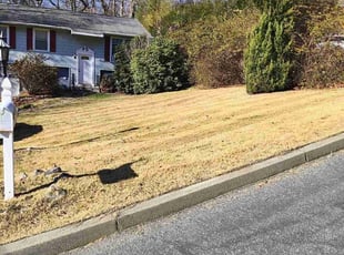 Mike M.'s Grass Cutting service result