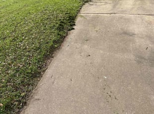 Franklin W.'s Lawn Maintenance service result