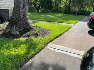 Kelly S.'s Lawn Care service result