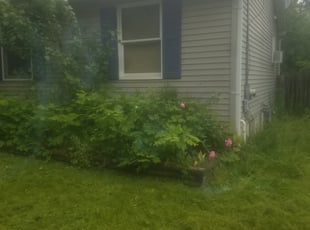 Bush Trimming by Blake Delp for Daniel E. in Grand Rapids, MI