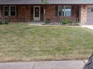 Leaf Removal by Brandi and Melvin Gierer for Sandra T. in Fenton, MO