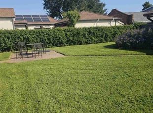 wenjian z.'s Lawn Service service result