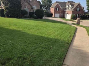 Timothy W.'s Lawn Service service result
