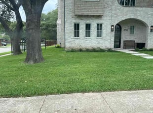 James W.'s Lawn Mowing Service service result