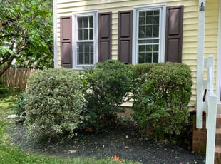 Bush Trimming by Chris Thomas for Karl K. in Richmond, VA