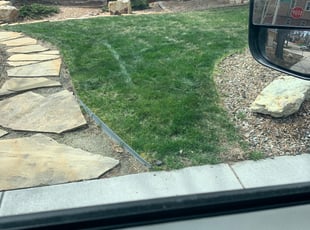 Bush Trimming by Garan Stalcup for Ronald/ Susan J. in Colorado Springs, CO