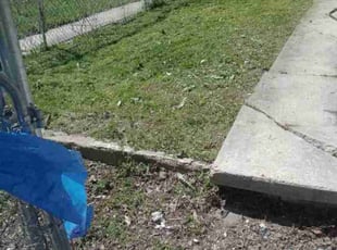 Cleanups by Carvell Smith for Davon J. in Baltimore, MD