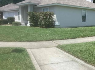Maria P.'s Lawn Maintenance service result
