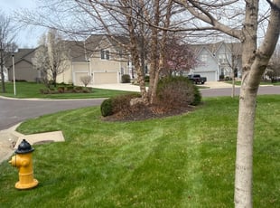 Bush Trimming by Darron Cotton for Hamilton S. in Overland Park, KS