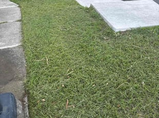 Steve W.'s Lawn Service service result