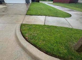 MAUREEN F.'s Lawn Care service result