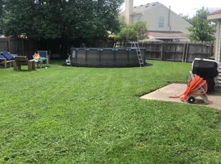 Shiela W.'s Grass Cutting service result