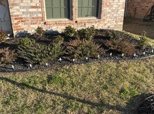 Weeding by Stone Ramsey for Mason H. in Denton, TX