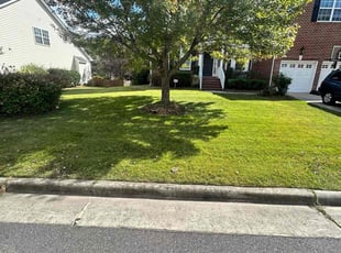 William C.'s Grass Cutting service result