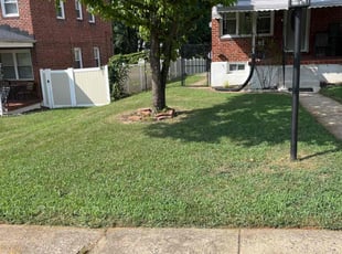 Dieudonne A.'s Lawn Maintenance service result