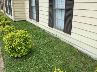 Weeding by Gregory Hearn for Anika W. in Memphis, TN