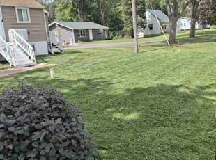 Valerie S.'s Lawn Care service result