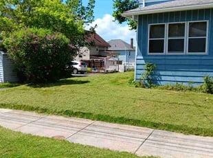 Lorraine P.'s Grass Cutting service result