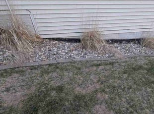 Cleanups by John Scimeca for Paul H. in Indianola, IA