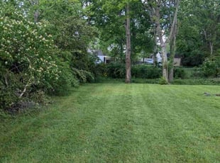 Beth M.'s Lawn Mowing service result