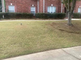 Bush Trimming by Andre Jefferson for Stacey M. in Conyers, GA