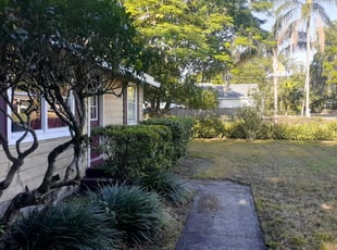 Bush Trimming by Minh Duong for Heather H. in Orlando, FL