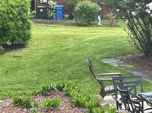Danielle V.'s Lawn Mowing Service service result
