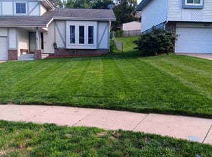 Gabriel T.'s Lawn Mowing Service service result