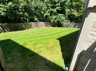 Jarrett S.'s Lawn Maintenance service result