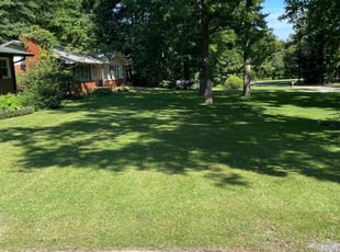 Daphne J.'s Yard Cutting service result