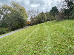Mary C.'s Lawn Care service result
