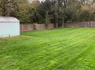 Lydia R.'s Grass Cutting service result