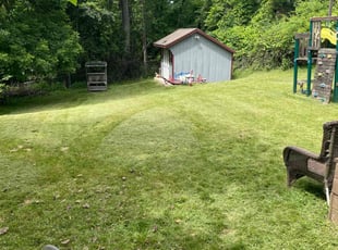 Tania L.'s Lawn Service service result