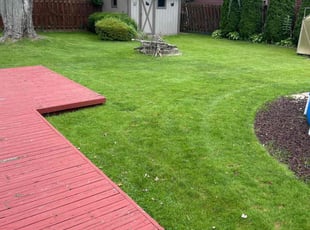 Dante D.'s Grass Cutting service result