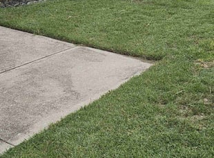 Stacy S.'s Lawn Mowing service result