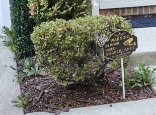 Bush Trimming by James Mckenzie for Krisa H. in Upper Marlboro, MD