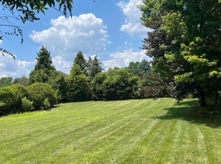Kina C.'s Lawn Care service result