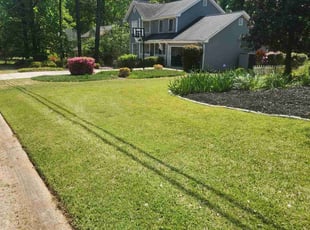 Johnny J.'s Grass Cutting service result