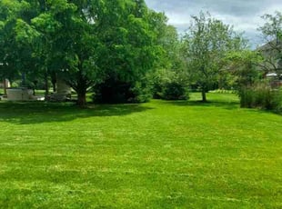 Braxton E.'s Yard Cutting service result
