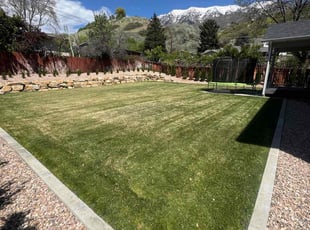 Kim L.'s Lawn Mowing service result