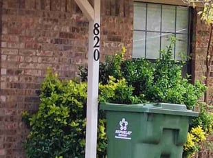Chelsea R.'s Yard Cutting service result