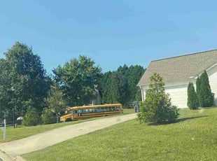 Marylee G.'s Grass Cutting service result