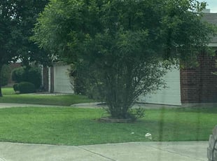Mikal C.'s Lawn Mowing service result