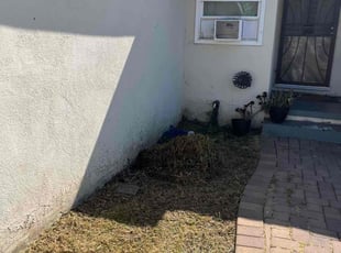 Bush Trimming by Fernando Gomez Rodriguez for Vanessa P. in Compton, CA