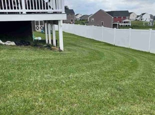 Nick C.'s Lawn Care service result