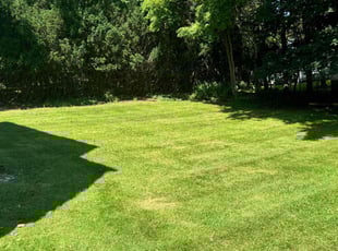 Amy B.'s Lawn Care service result